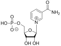 β-Nicotinamide Mononucleotide