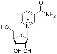 Nicotinamide Riboside